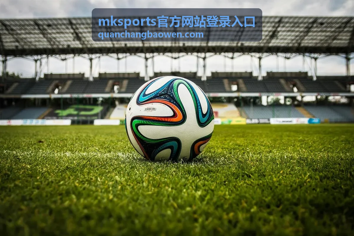 mksports官方网站登录入口在不同设备上的使用记录